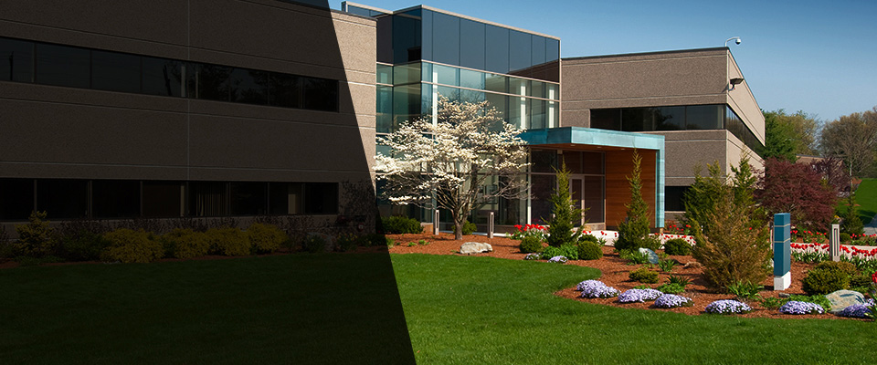 Ruckersville Landscapers