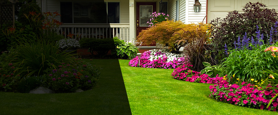Ruckersville Landscapers