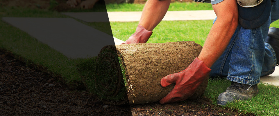 Ruckersville Landscapers